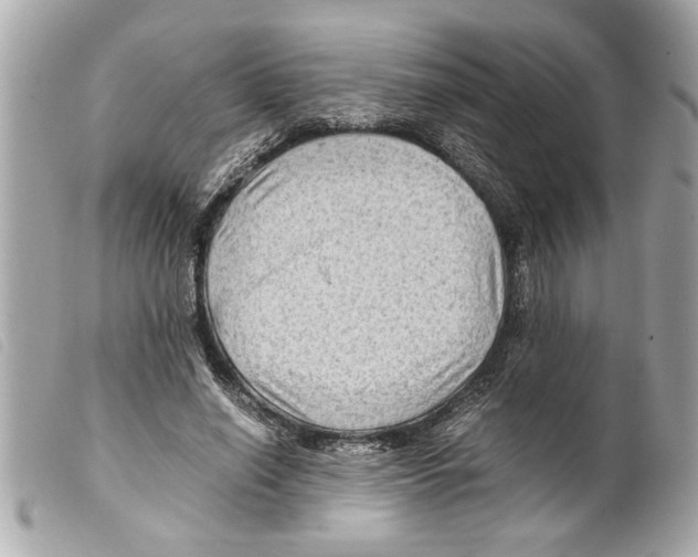 X0000099290638200805301113