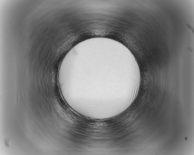 X0000099290639200805301113