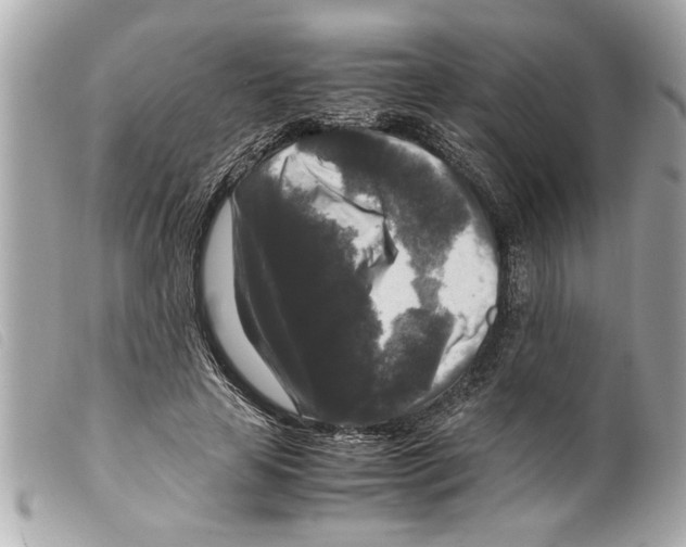 X0000099290641200805301113