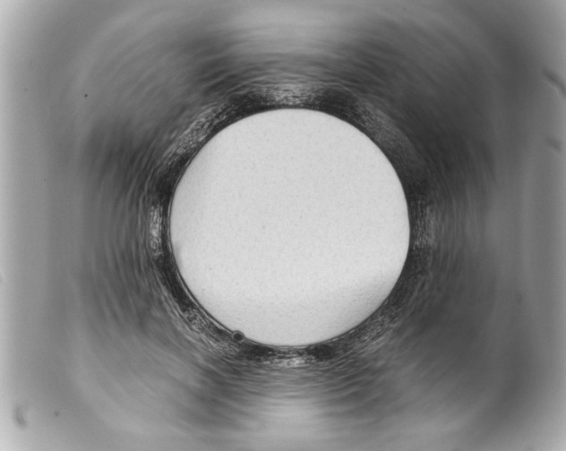 X0000099290646200805301113