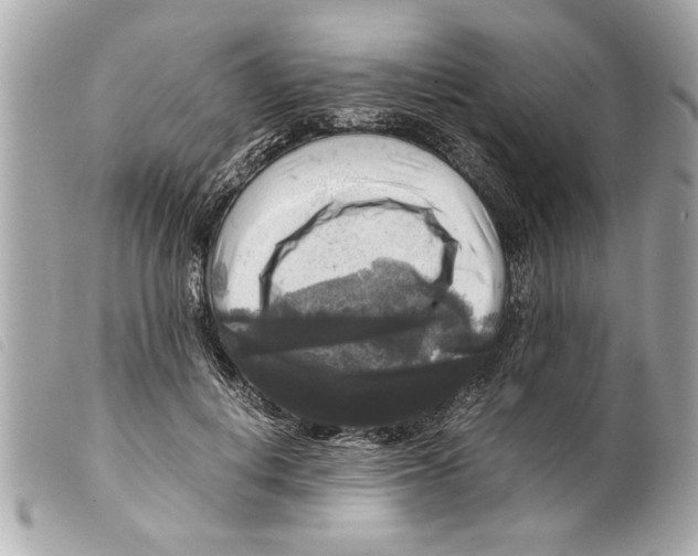 X0000099290648200805301113
