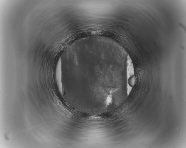 X0000099290650200805301113
