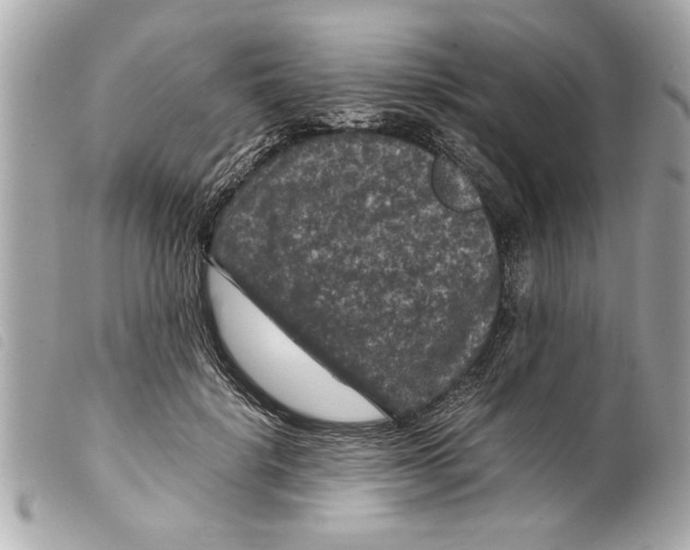 X0000099290652200805301113