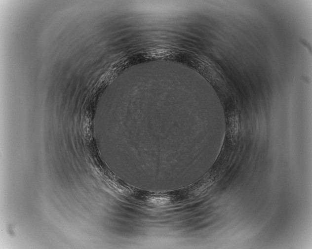 X0000099290653200805301113