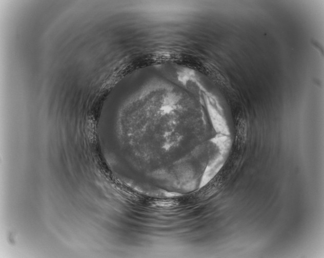 X0000099290659200805301113