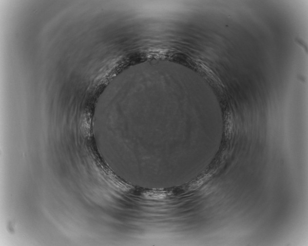 X0000099290661200805301113