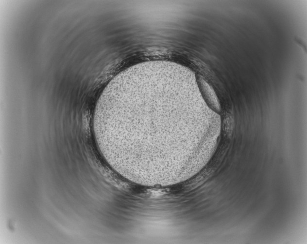 X0000099290662200805301113