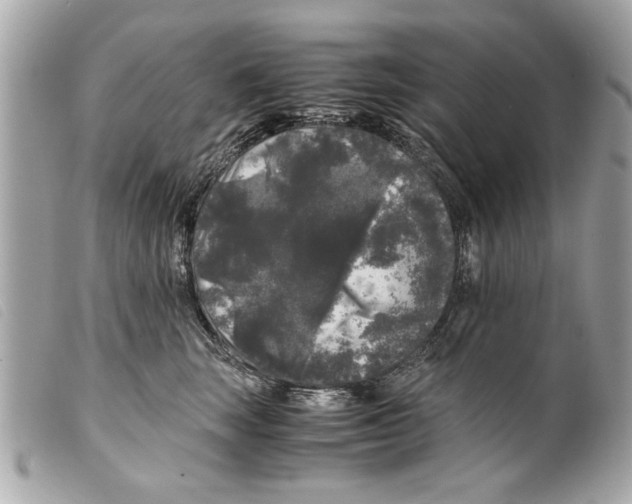 X0000099290663200805301113