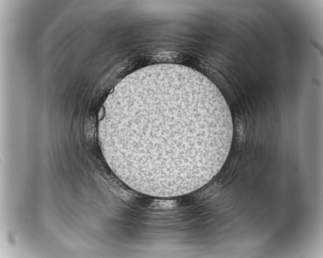 X0000099290665200805301113