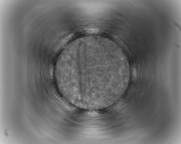 X0000099290668200805301113