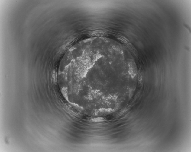 X0000099290669200805301113