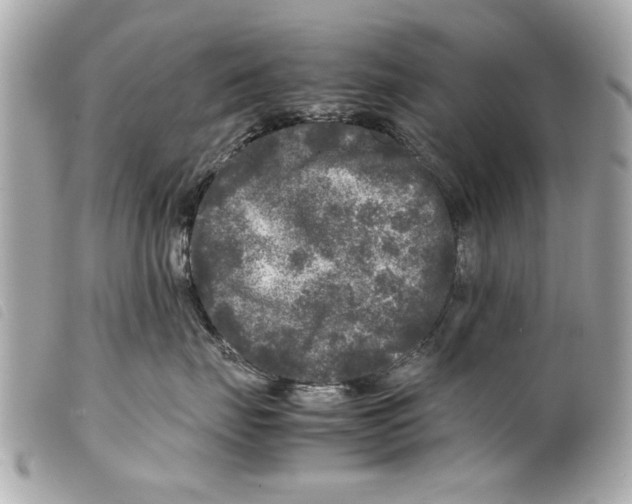 X0000099290671200805301113