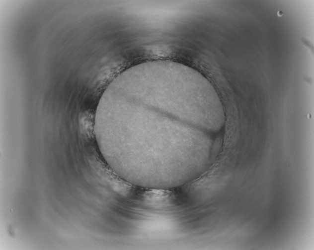 X0000099290672200805301113