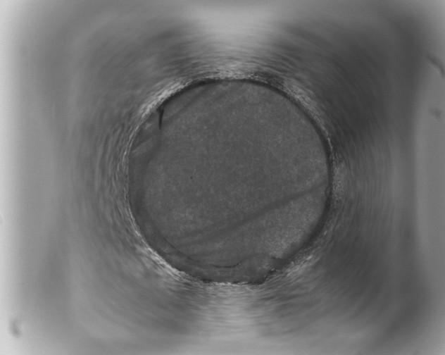 X0000099290673200805301112