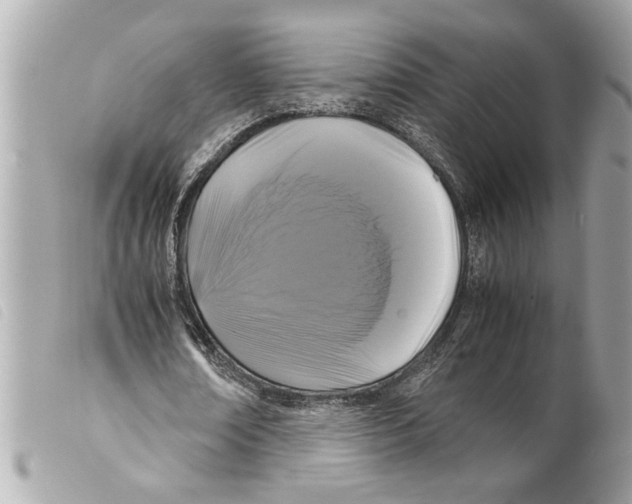X0000099290674200805301112
