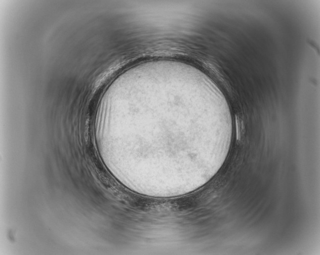 X0000099290675200805301112