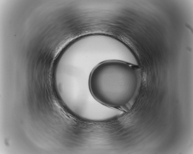 X0000099290676200805301112