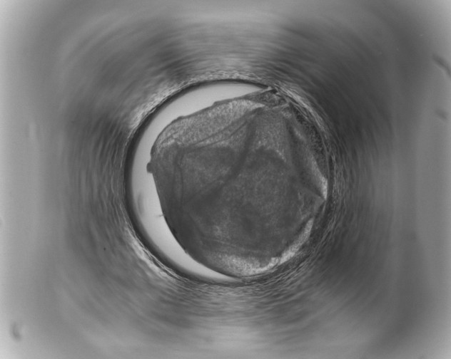 X0000099290677200805301112