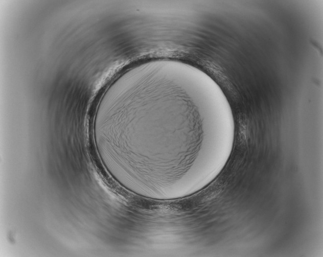 X0000099290678200805301112