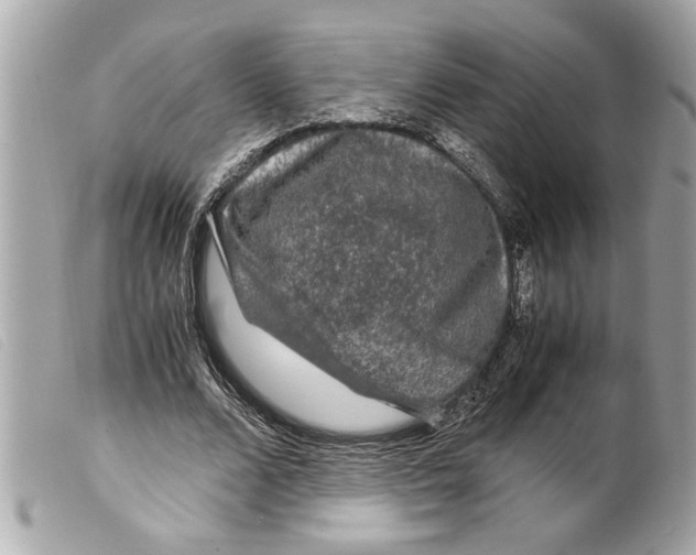 X0000099290680200805301112