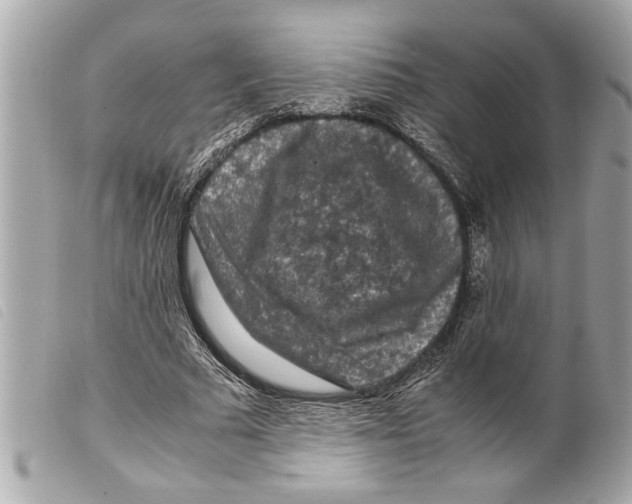 X0000099290681200805301112