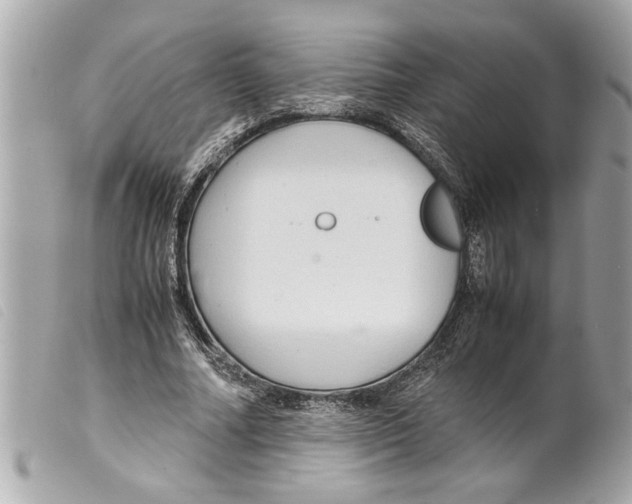 X0000099290682200805301112