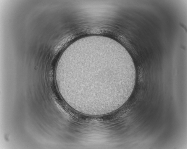 X0000099290683200805301112