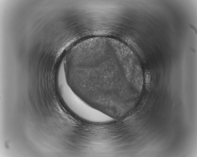 X0000099290684200805301112