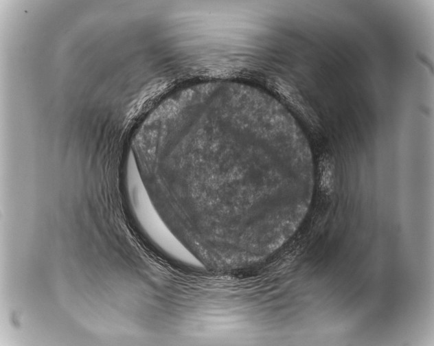 X0000099290685200805301112