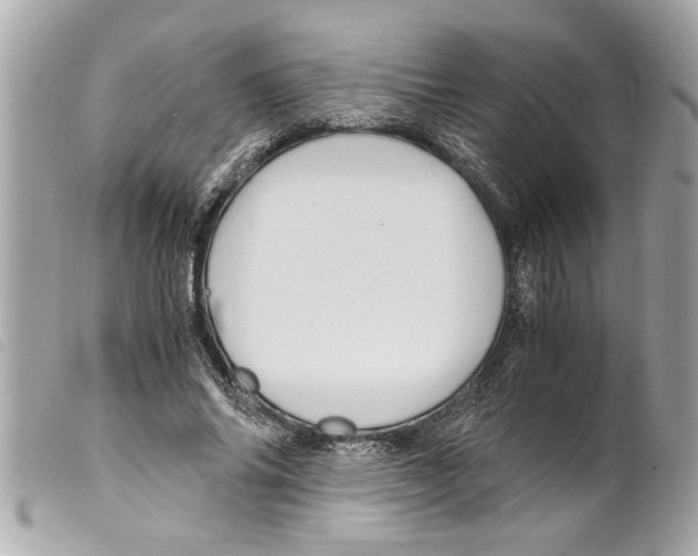 X0000099290686200805301112