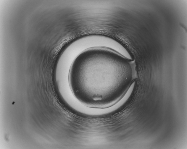 X0000099290687200805301112