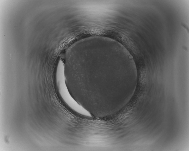 X0000099290689200805301112
