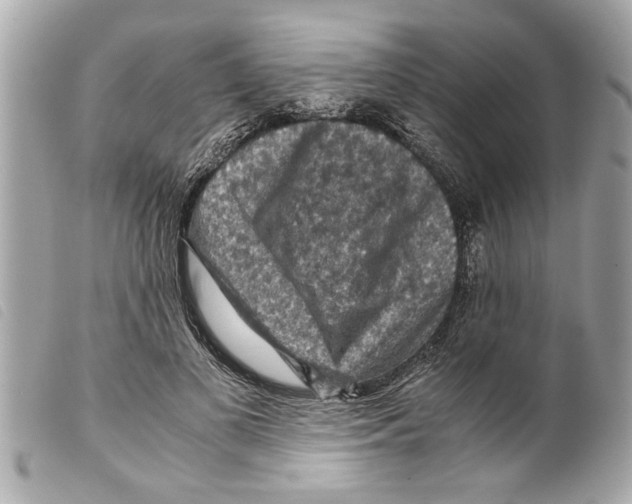 X0000099290693200805301112