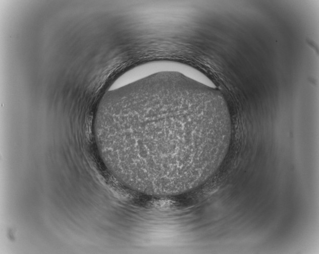 X0000099290695200805301112