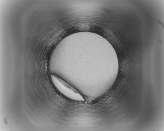 X0000099290697200805301112