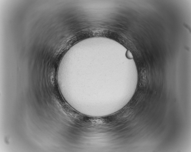 X0000099290698200805301112