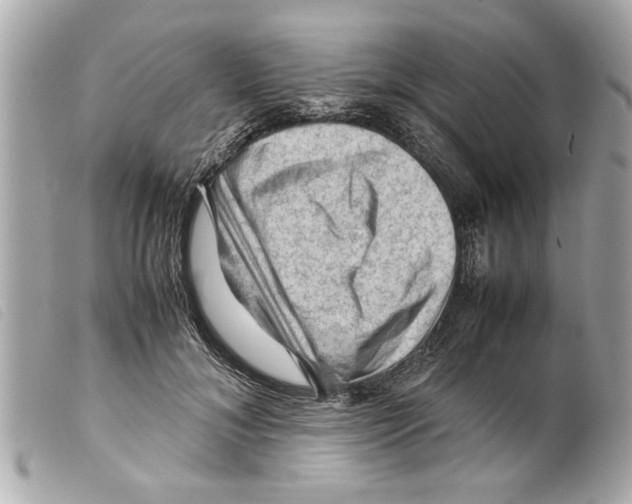 X0000099290700200805301112