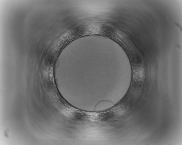 X0000099290701200805301112