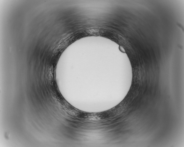 X0000099290702200805301112
