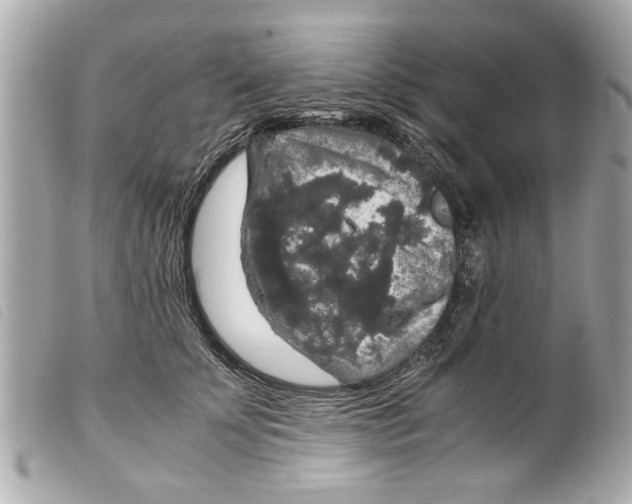 X0000099290707200805301112