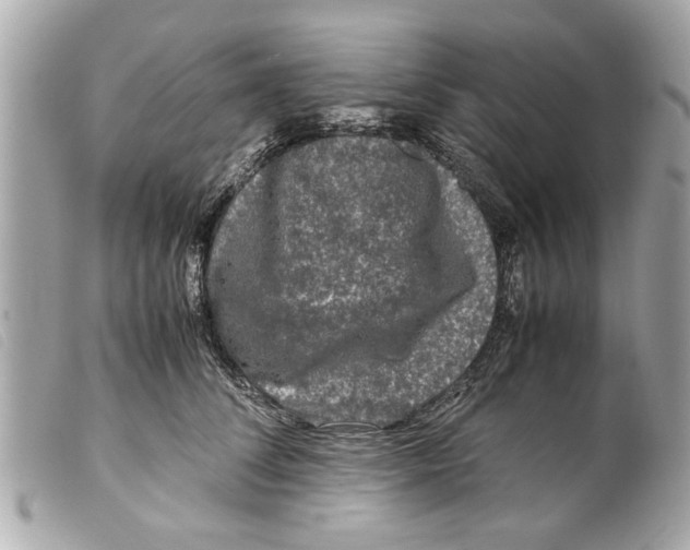 X0000099290708200805301112