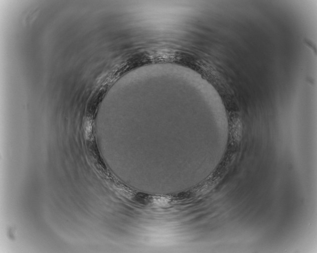 X0000099290709200805301112