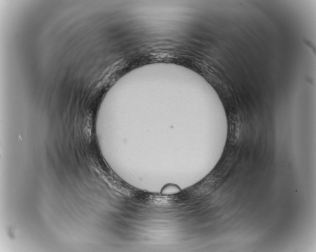 X0000099290710200805301112