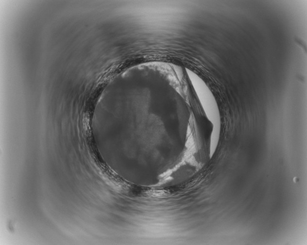 X0000099290711200805301112