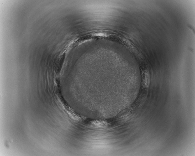 X0000099290712200805301112