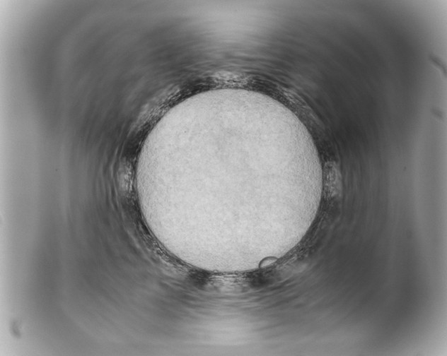 X0000099290713200805301112