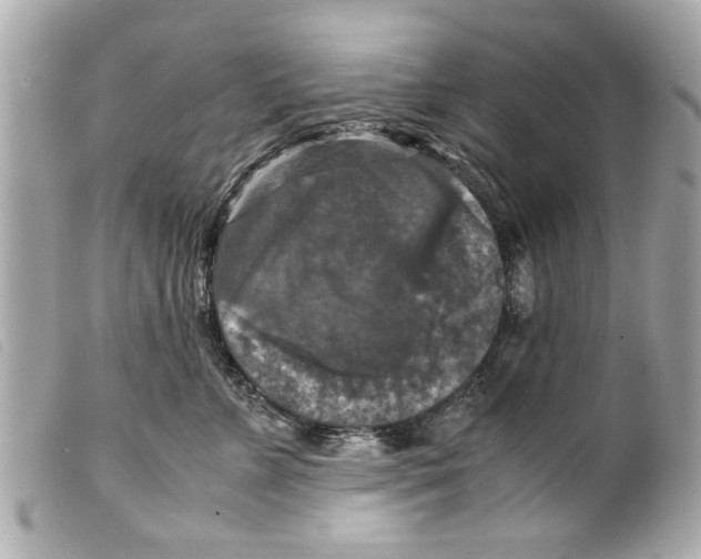 X0000099290715200805301112