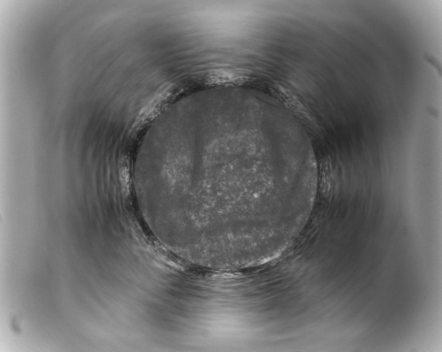 X0000099290716200805301112