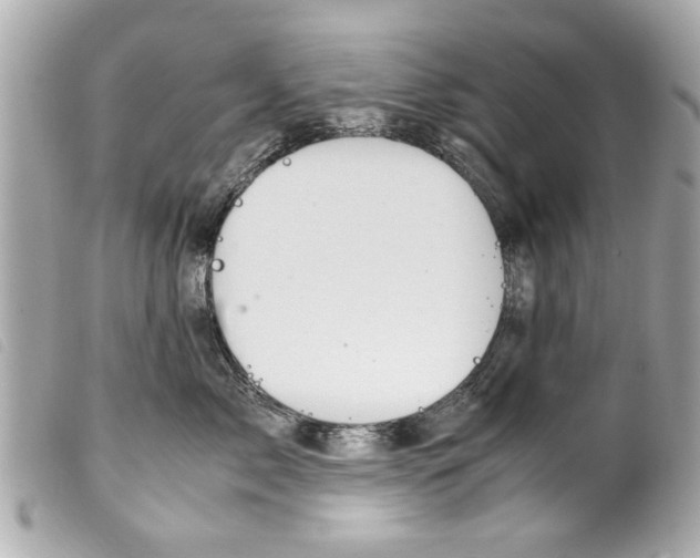 X0000099290717200805301112