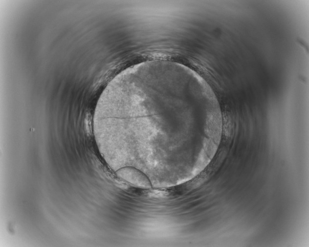 X0000099290718200805301112